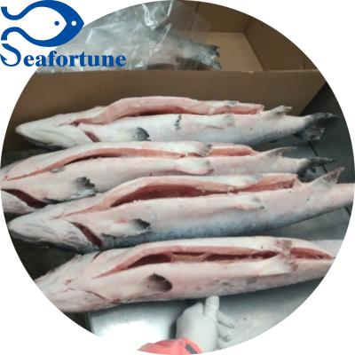 China IQF Frozen Low Sugar Salmon Fish Whole Round Gutted Premium Seafood for sale