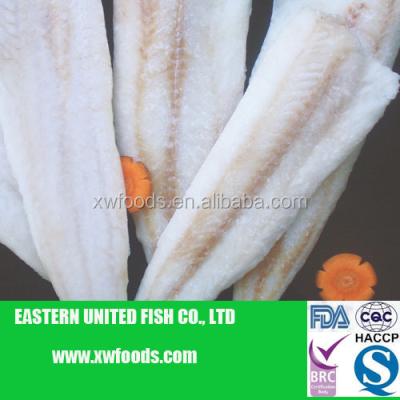 China FROZEN blue whiting frozen fish for sale