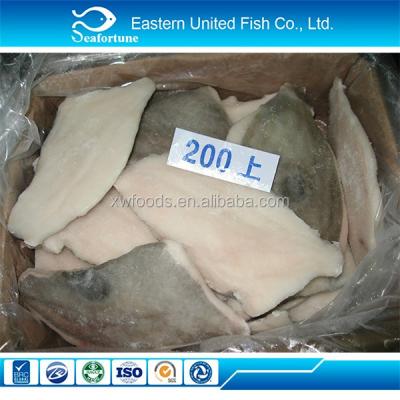 China Wholesale Cream Seafood JELLY Export Dory Fish Bandeau Skin On for sale