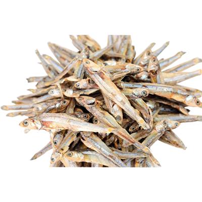 China Anchovies or Dried Anchovies R Wholesale Dried Frozen Sprat for sale