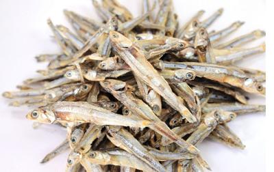 China Dry Frozen Dried Seafood/Dried Fish/Sparts Anchovies for sale