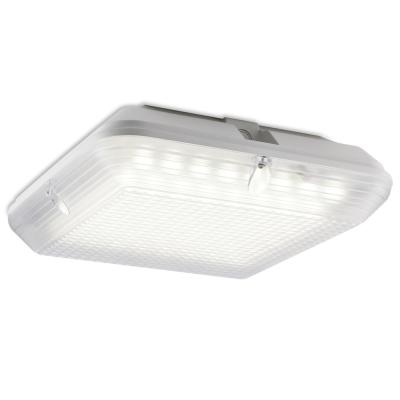 China Carpark Corridors Aisle Aisle Stairs Garage LiFePO4 Battery Operated Lithium 25W LED Bulkhead Traverse Lighting Ceiling Lamp IP65 for sale