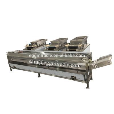 China Quail Egg Processing Industry Deep Boxed Quail Egg Making Machine In Deep Quail Egg Processing Line for sale