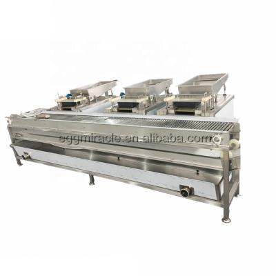 China Cannery Quail Egg Processing Line With Quail Egg Cooking And Boiling Machine for sale