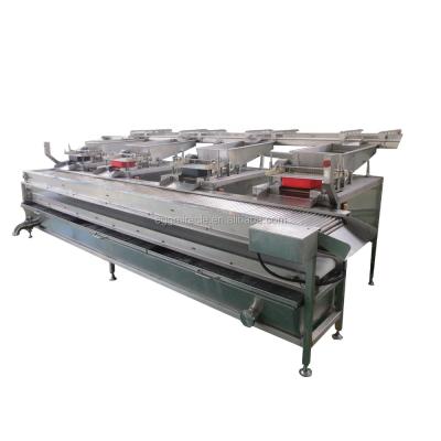 China Fully Automatic Food Processing Plant Easy Maintenance Quail Egg Boiler / Shell Quail Egg Peeling Machinery for sale