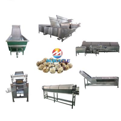 China Snack Factory Industrial Pickled Quail Eggs Peeling Production Line, Quail Eggshell Remover For Sale for sale