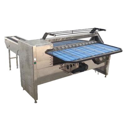 China Automatic Cannery Egg Grading With Cleaning And Oil Mist Processing Line for sale