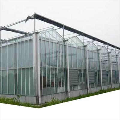 China Features high quality Venlo glass greenhouse with hydroponic growing system galvanized frame structure for sale