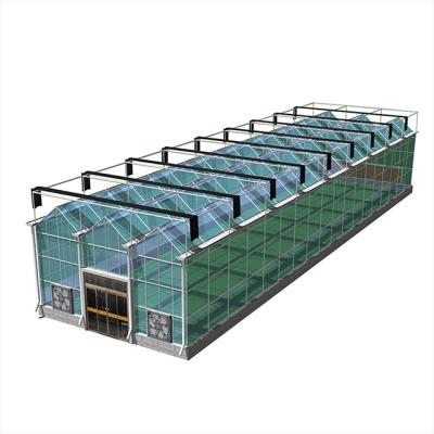 China Small Or Large Stable Structure Agriculture Glass Greenhouse For Garden Agriculture for sale