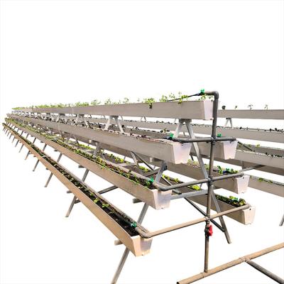 China Hot Sale Manufacture CBD Soilless Hemp Hydroponic System Indoor Growing Environment Hemp Extractor for sale