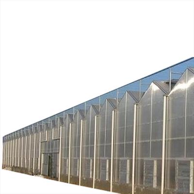 China Stable structure 25+factory offer printed circuit board greenhouse polycarbonate PC protective sheet for sale