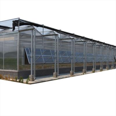 China Features agricultural factory commercial supply china greenhouse mutispan structure with hydroponics system for sale