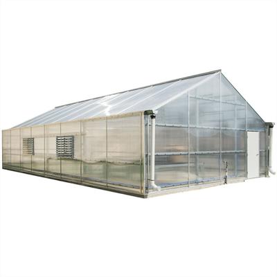 China Specifications Venlo Polycarbonate Covering Muti Span Greenhouse Tunnel Greenhouse For Sale Turkney Project for sale