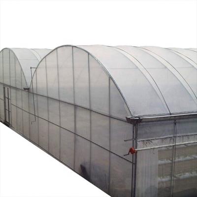 China Specifications Layers Chassis Greenhouse Portable Wood Greenhouse Plastic Sheet 60 Miles for sale