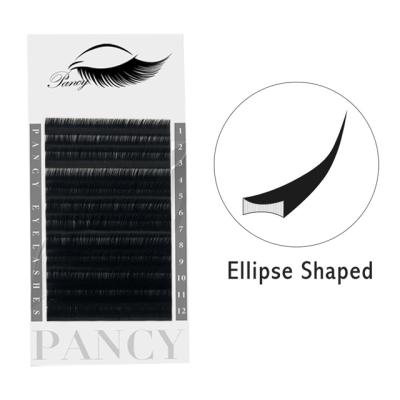 China Comfortable Private Label Eyelash Extensions Eyelash Extension Supplies Eyelash Extension Professional for sale