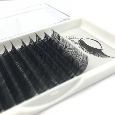 China Premade Natural Wholesale Individual Flat Lashes Wholesale Individual Supplier Brand Pancy 3D Feeling Pancy 3D Feeling Eyelashes Professional Bulk Eyelash Extension for sale