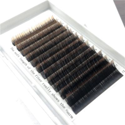 China Comfortable Most Popular Colorful Cheap Eyelash Extension Private Label Ombre Brown 0.07 D False Eyelashes for sale