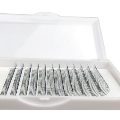 China Comfortable Volume Fan Lashes 0.10 2d D Loop Eyelash Extensions Pre Made Volume Pbt Russian Volume Eyelash Extension for sale