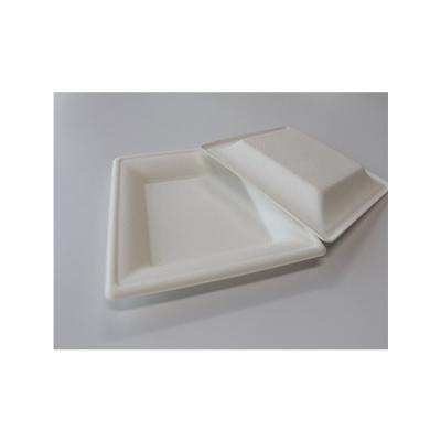 China Modern Professional Made Disposable Cake Tray Biodegradable Plate Disposable Meal Box Baking Tray for sale