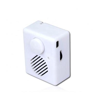 China Play Music By Built-in Or Downloaded By USB Germany Cheap 2023 Hot Sales Plastic Housing Mini USB Music Box for sale