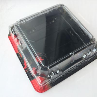 China Disposable Take Away Plastic Sushi Packaging Multi Functional Classic Square Sushi Plate for sale