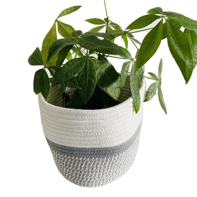 China Good Pick Folding Rope Basket for sale