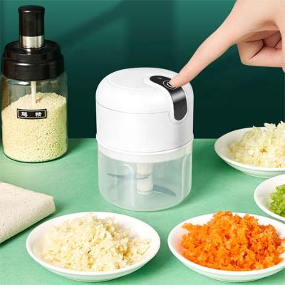 China Sustainable Fashion Portable Mini Meat Garlic Fruit Food Chop Chopper Blender Garlic Masher Mixer for sale