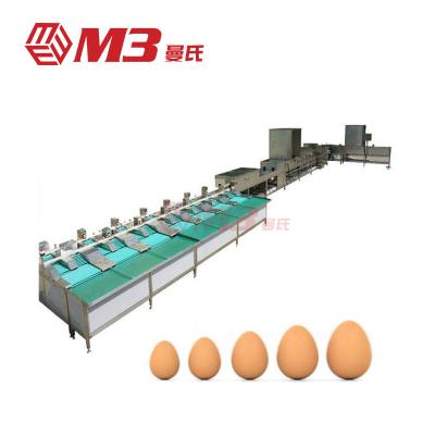 China M3 China Manufacturer Hot Sale Dirty Chicken Duck Eggs Washing Cleaning Sorting Production Line Farms Equipment for sale