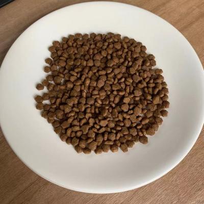 China Viable wholesale of high price, high nutrition and high protein cat food in pet food factory for sale