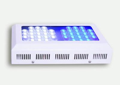 China Aquarium-Beleuchtung Dimmable volle Spektrum-LED für Korallenriff/Anlage/Marine-42*3W zu verkaufen