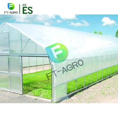 China Planting Vegetable Agriculture Tunnel Greenhouse Tunnel 30 x Vegetables And So On High 100 Greenhouse for sale