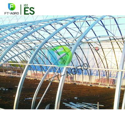 China By planting vegetables and so on drip irrigation system agricultural hydroponic plant growing system for sale