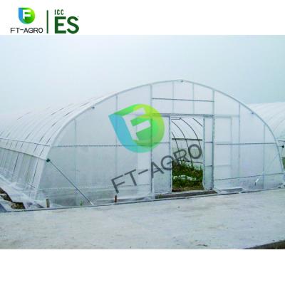 China Planting Vegetables Multi Span Vegetables And So On Planting Greenhouse /Multi Span Greenhouse For Flower Planting for sale