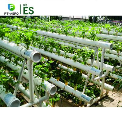 China Easily Assembled Hydroponic Agricultural Hydroponic Nft Planting Growing Systems for sale