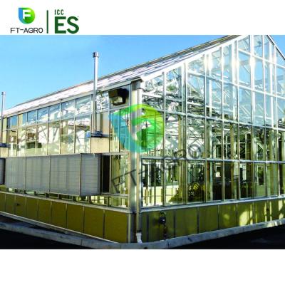 China China Agricultural Polycarbonate Straight Sheet Single Wall Tunnel Greenhouse Vegetable Greenhouse for sale