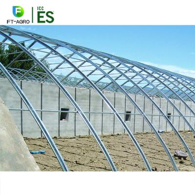 China Seeding Cheap Nursery Greenhouse Sunlight Greenhouse On Sale for sale