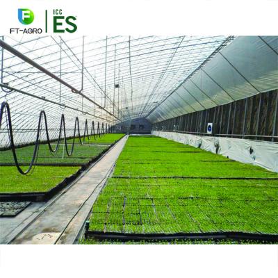 China Seeding China Nursery Greenhouse Large Size Polycarbonate PC Sunlight Outdoor Solar Panel Greenhouse for sale