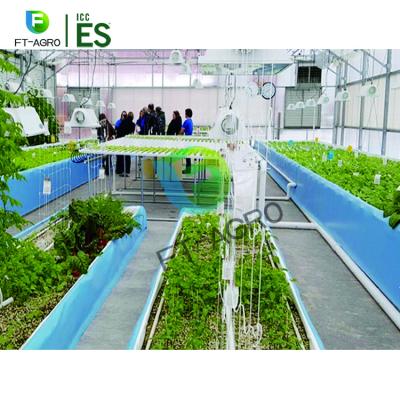 China Sale Multi-Span Eco Friendly Commercial Greenhouse For Aquatic Fish for sale