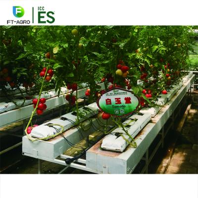 China Easily Assembled PVC Gutter Hydroponic Growing System For Greenhouse Planting for sale