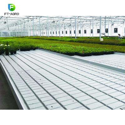 China Flower China Agriculture Seedling Nursery Cultivation Greenhouse With Nursery Tray And Rolling Bench for sale