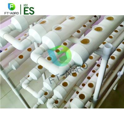 China Easily Collected Vegetable Planting Frame Hydroponic Planting Greenhouse for sale