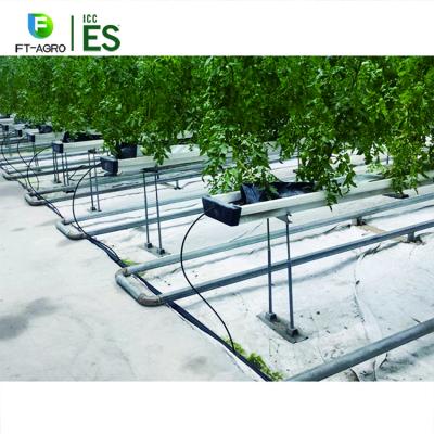 China Easily Assembled Commercial Tower Hydroponics System Greenhouse For Agricultural Breeding for sale