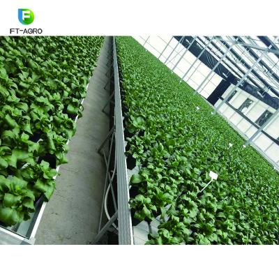 China High Quality Flower Vegetable Growing Seed Box Seedling Hydroponic Tray For Vegetables for sale