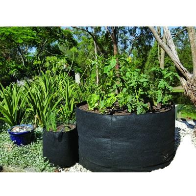 China Stable Structure Factory Price Eco - Friendly Greenhouse Felt Planting Grow Bag Customizable for sale