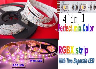 China NEW copper! ! SMD5050 chips 4 in 1 RGBX LED led flexible strip for sale