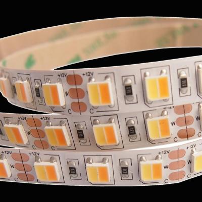 China LANDSCAPE CRI90 12V 24V Led Strips 2000Lm/m High Lumens Led Projects Wholesaler Cri90 Flexible Led Strip Light Color Changing 2-in-1 for sale