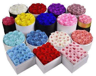 China Beautiful Preserved Flower Rainbow Colored Preserved Rose Wholesale From Rose Flower Manufacturer Spot Fresh Cut for sale