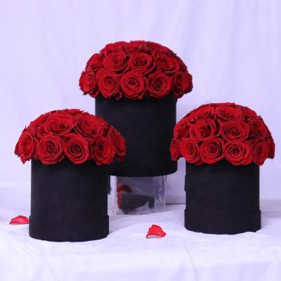 China Wholesale Natural Eternal Immortal Preserved Rose Natural Preserved Flowers Gift box roses perpetual flower plant forever forever for sale