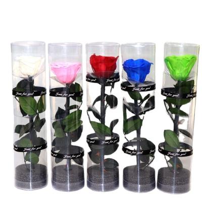 China Luxury Perpetual Flower Home Decor Preserved Roses With Single Stem Transparent Rose PVC Roses Preserved Flowers for sale