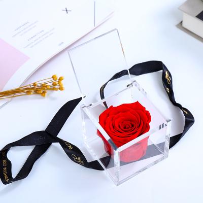 China Eco-Friendly Rose Forever Flower Beautiful Mini Acrylic Preserved Rose Box Hold 1 Rose for sale